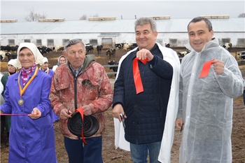 В агрофирме «Кубнинский» состоялось открытие телятника на 120 голов