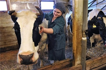 В рамках реализации инициативы врио Главы Чувашии продолжаются выплаты субсидий на содержание коров