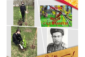 Число участников акции «Сад Памяти» в Янтиковском районе растет с каждым днем