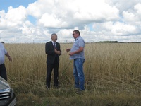 Владимир Ванерке посетил сельскохозяйственные предприятия района, начавшие уборку зерновых культур