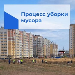 В борьбе с загрязнением окружающей среды помогают соцсети