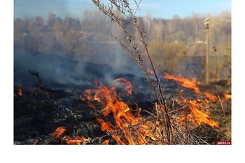 В республике участились случаи возгорания сухой травы