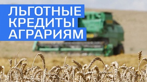 Аграриии Чувашии могут получить льготные краткосрочные кредиты