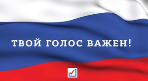 Информация от наблюдателей на участках для голосования