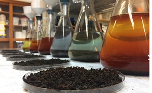 Поля Чувашии получат агропаспорта