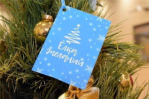 В Чувашской Республике стартует всероссийская акция «Ёлка желаний»