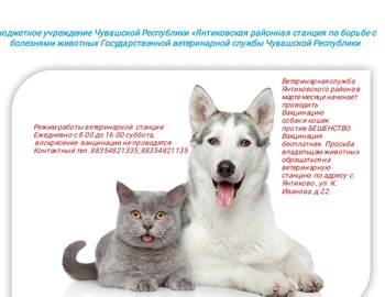 Ветеринарная служба района начинает вакцинацию собак и кошек против бешенства