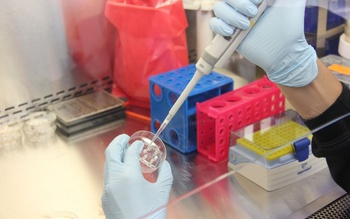 С начала пандемии в регионе развернуто 11 лабораторий только для диагностики COVID-19