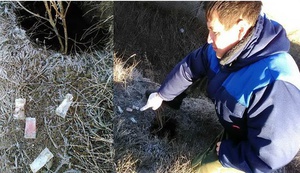 В районе была проведена вакцинация диких животных