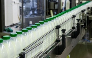 Предприятия молочной переработки могут перейти из I категории опасности во II