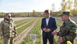 Саженцы для лесов в Чувашии начнут выращивать в специальных теплицах