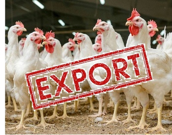 Аграрии республики в 2020 году начали экспортировать мясные  полуфабрикаты в Китай