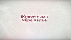 Руны Чувашии. Часть 26. Руна -Я-