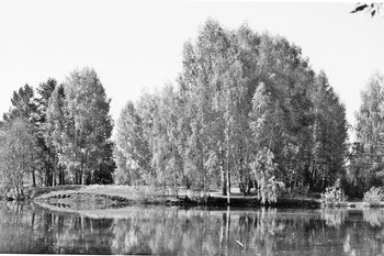 Кашнинех  чуна çывăх