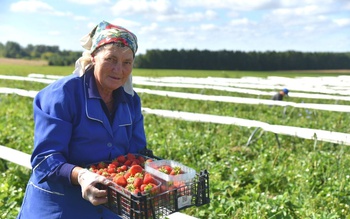 Агропромышленный комплекс Чувашии получил господдержку на сумму 369 миллионов рублей